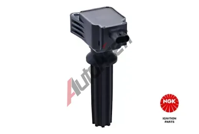 NGK Zapalovac cvka NG 49098, 49098