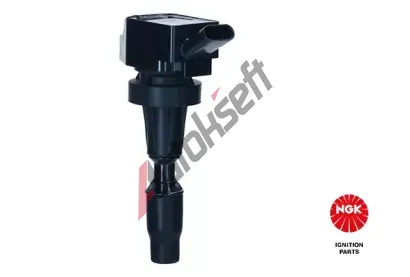 NGK Zapalovac cvka NG 49138, 49138