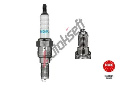 NGK Zapalovac� sv��ka NG 5869, 5869