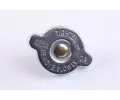 NISSENS Chladi� - chlazen� motoru NIS 68709A, 68709A