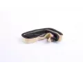 NISSENS Vmnk tepla vnitnho vytpn NIS 73644, 73644