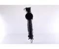 NISSENS Chladič vzduchu intercooler NIS 961252, 961252