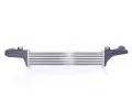 NISSENS Chladi vzduchu intercooler NIS 96860, 96860