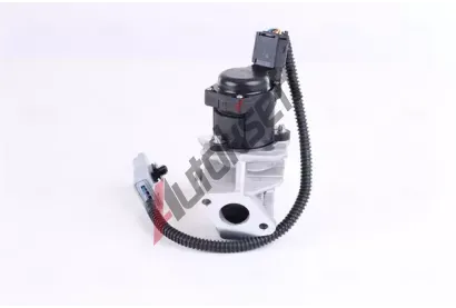 NISSENS AGR ventil ** FIRST FIT ** NIS 98244, 98244