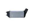 NRF Chladi vzduchu intercooler NRF 30376, 30376