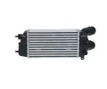 NRF Chladič vzduchu intercooler NRF 309029, 309029