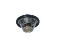 NRF Termostat chladiva EASY FIT NRF 725066, 725066