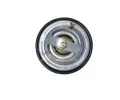 NRF Termostat chladiva EASY FIT NRF 725098, 725098
