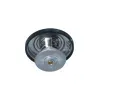 NRF Termostat chladiva EASY FIT NRF 725217, 725217