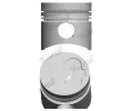 Pst NRAL ‐ NRL 87-109807-10