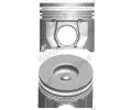 Pst NRAL ‐ NRL 87-113500-00