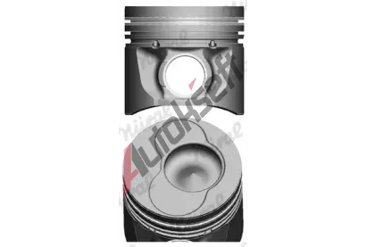 NRAL Pst NRL 87-114900-95, 87-114900-95