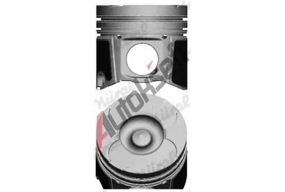 NRAL Pst NRL 87-137507-10, 87-137507-10