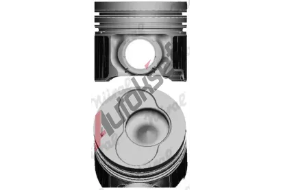 NRAL Pst NRL 87-421007-20, 87-421007-20
