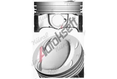 NRAL Pst Elastoval  NRL 87-429907-00, 87-429907-00