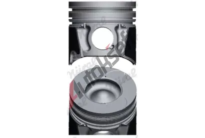 NRAL Pst NRL 87-436700-00, 87-436700-00