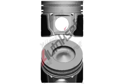 NRAL Pst NRL 87-437007-00, 87-437007-00