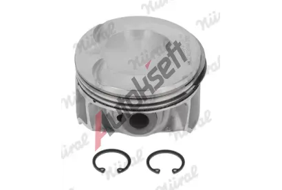 NRAL Pst NRL 87-443800-10, 87-443800-10