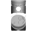 Pst NRAL ‐ NRL 87-990100-10