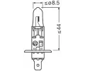 OSRAM rovka H1 24V 70W P14,5s TRUCKSTAR PRO OS 64155TSP-HCB, 64155TSP-HCB