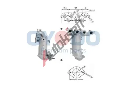 Oyodo Katalyz�tor OYD 10N0052-OYO, 10N0052-OYO