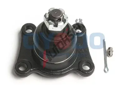 Oyodo �ep ramene OYD 10Z2023-OYO, 10Z2023-OYO