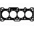 Tsnn hlavy vlce PAYEN ‐ PAY AG7990