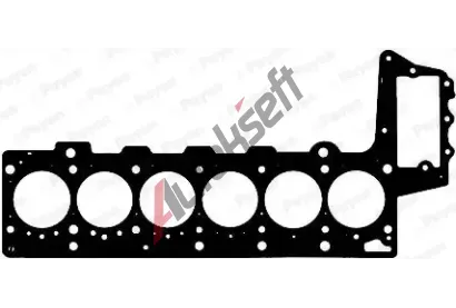 PAYEN Těsnění hlavy válce PAY AG9000, AG9000 PAYEN Těsnění hlavy válce PAY AG9000, AG9000