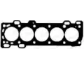 Tsnn hlavy vlce PAYEN ‐ PAY BY361