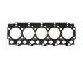 Tsnn hlavy vlce PAYEN ‐ PAY BZ640