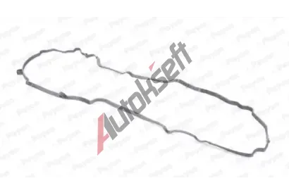 PAYEN T�sn�n� krytu hlavy v�lce PAY JM7026, JM7026