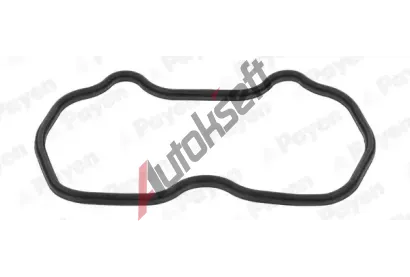 PAYEN Těsnění krytu hlavy válce PAY JM7162, JM7162 PAYEN Těsnění krytu hlavy válce PAY JM7162, JM7162