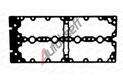 PAYEN Těsnění krytu hlavy válce PAY JM7198, JM7198 PAYEN Těsnění krytu hlavy válce PAY JM7198, JM7198