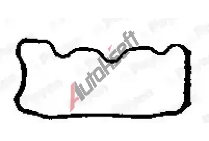 PAYEN Těsnění krytu hlavy válce PAY JN713, JN713 PAYEN Těsnění krytu hlavy válce PAY JN713, JN713