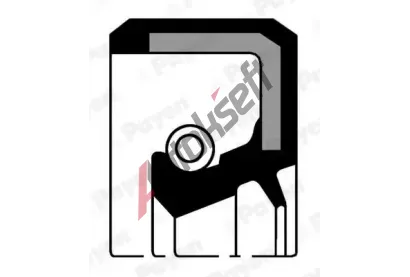 PAYEN Těsnicí kroužek klikového hřídele PAY NA5058, NA5058 PAYEN Těsnicí kroužek klikového hřídele PAY NA5058, NA5058