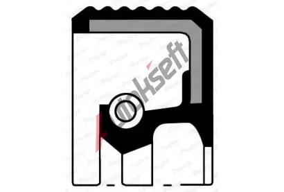 PAYEN Tsnic krouek hdele diferencilu PAY NF836, NF836