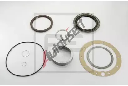 PE Automotive Sada t�sn�n� planetov�ho soukol� PEA 011.386-00A, 011.386-00A
