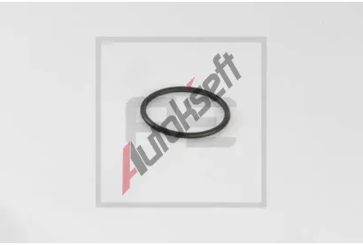 PE Automotive Tsnn snmae paliva PEA 030.481-00A, 030.481-00A