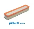 Vzduchov filtr PURFLUX ‐ PFX A1229