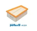 Vzduchov filtr PURFLUX ‐ PFX A1231
