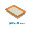 Vzduchov filtr PURFLUX ‐ PFX A1613