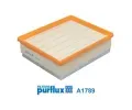 Vzduchov filtr PURFLUX ‐ PFX A1789