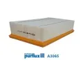 Vzduchov filtr PURFLUX ‐ PFX A3065