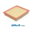 Vzduchov filtr PURFLUX ‐ PFX A3066