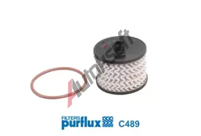 PURFLUX Palivov filtr PFX C489, C489