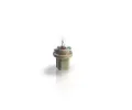 PHILIPS rovka 12V 1,5W B8,5d PHI 12637CP, 12637CP