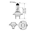 PHILIPS rovka H7 12V 55W PX26d LongLife EcoVision PHI 12972LLECOS2, 12972LLECOS2