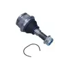 QUARO �ep ramene&nbsp;&dash;&nbsp;QAR QS2597/HQ