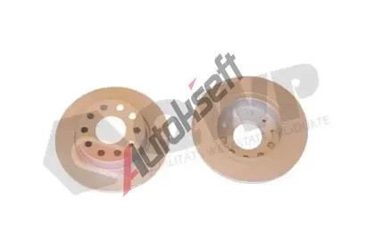 QWP Brzdov kotou - 253 mm QWP WBD309C, WBD309C