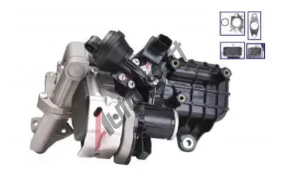 QWP AGR ventil QWP WEG286, WEG286